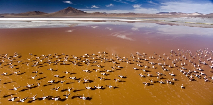 Bolivia e Cile del Nord - Deserti di sale, altopiani, vulcani e laghi colorati 4
